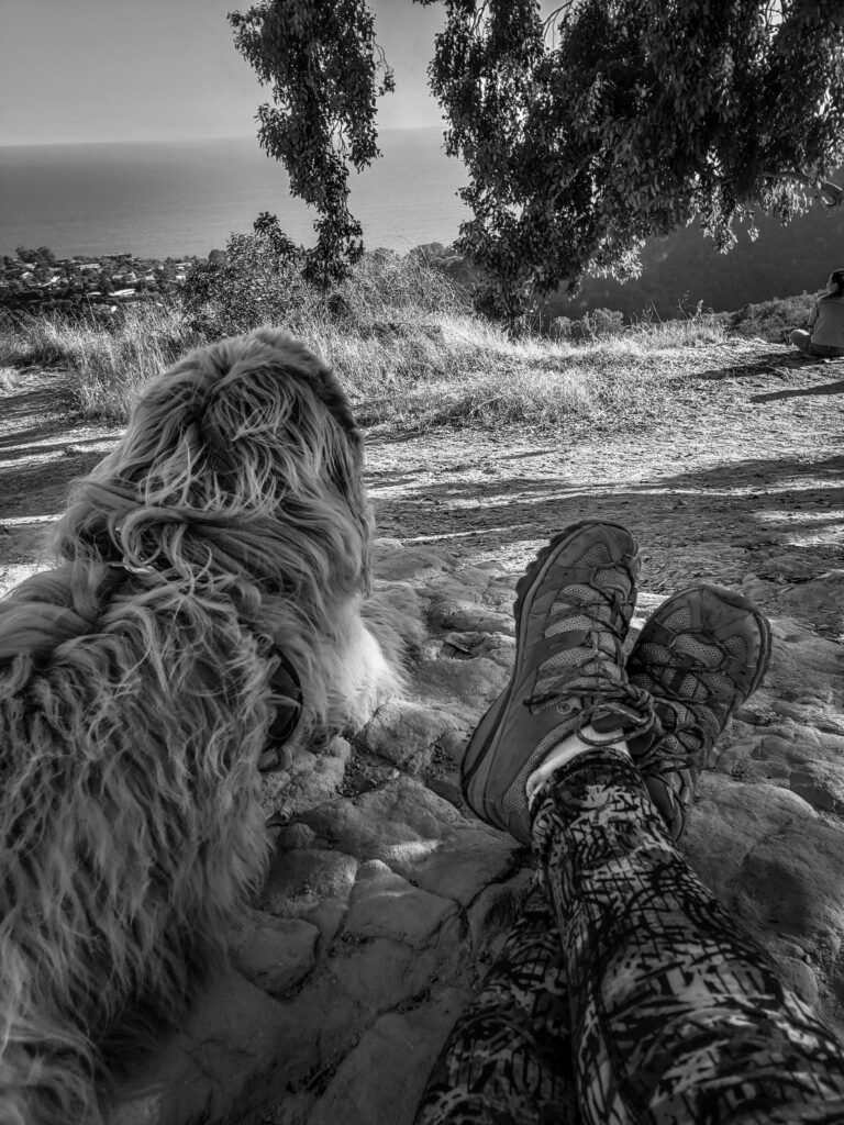 A person with a dog, photography