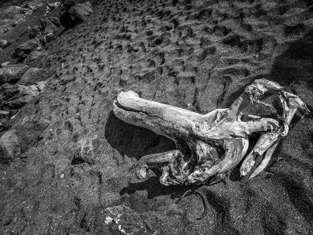 CMA black and white photography