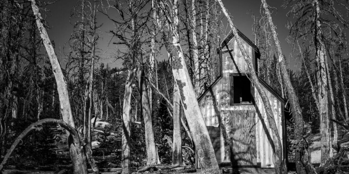 Black and white photography of horse house